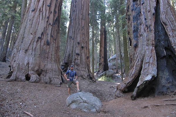 Congress Trail, Sequoia National Park, California