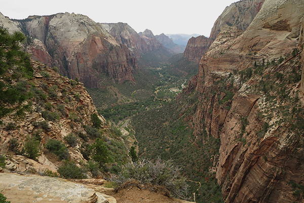 view from Angels Landing, Zion National Park