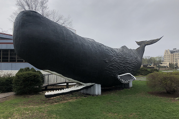 Conny the Whale roadside attraction in West Hartford, Connecticut