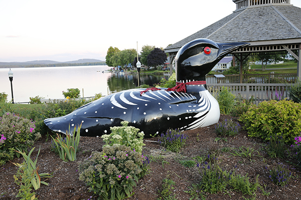 Giant Loon in Lincoln, Maine