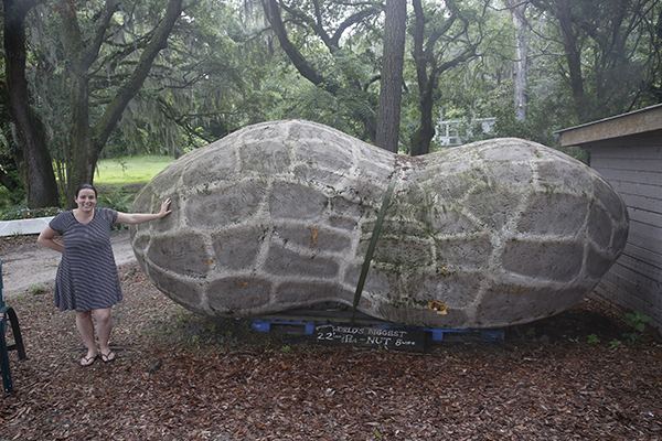 World's Largest Boiled Peanut in Bluffton, South Carolina