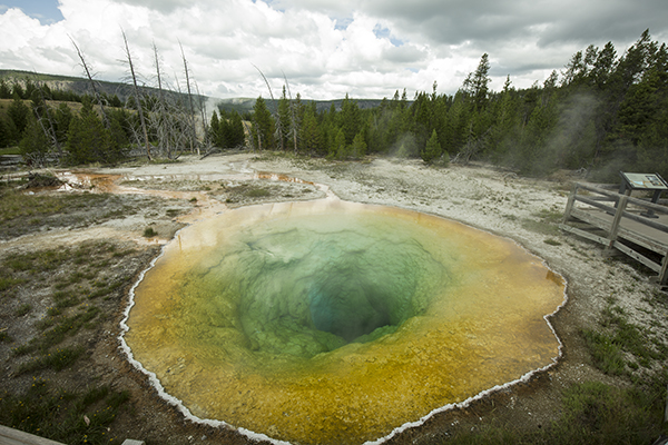Morning Glory Pool in Upper Geyser Basin area, Yellowstone National Park