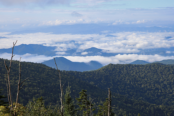 view from the lookout tower atop Clingmans Dome, Tennessee